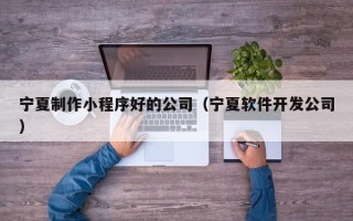 新泰宁夏制作小程序好的公司（宁夏软件开发公司）