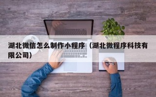新泰湖北微信怎么制作小程序（湖北微程序科技有限公司）